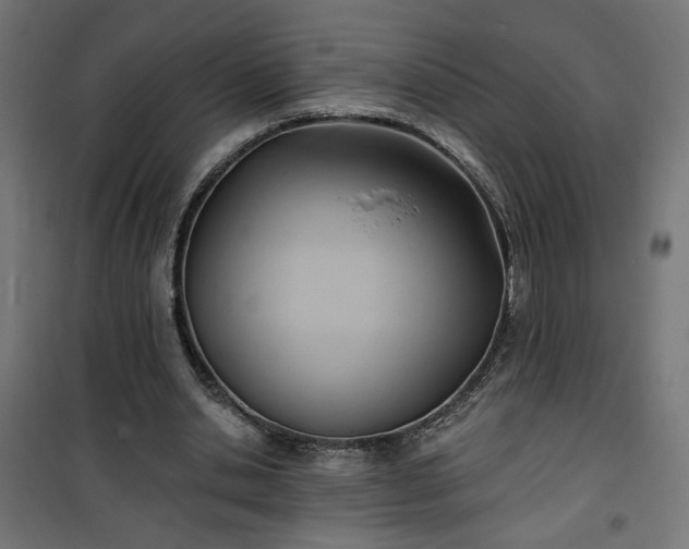 X0000100470438200806201610