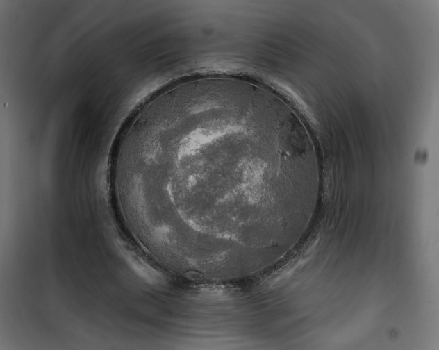 X0000100470439200806201610