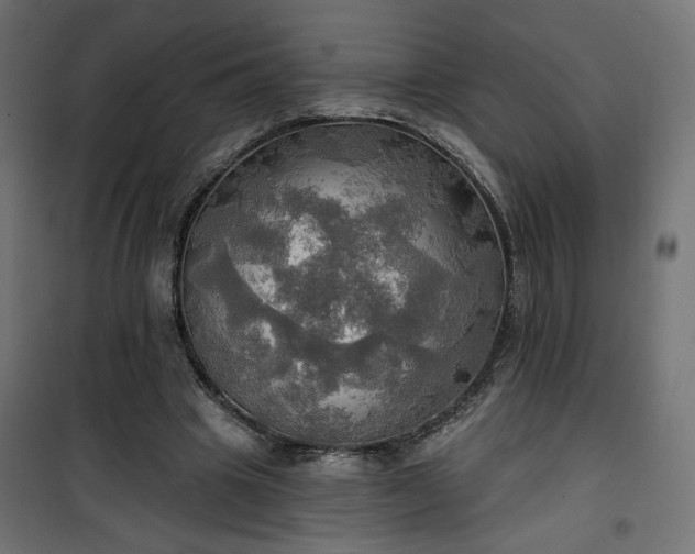 X0000100470441200806201610