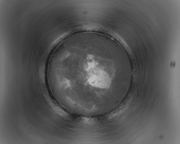 X0000100470442200806201610