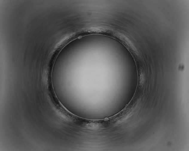 X0000100470444200806201610