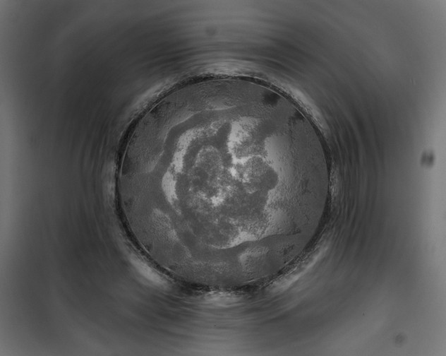 X0000100470445200806201610