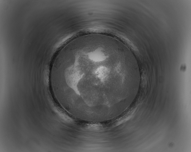 X0000100470446200806201610