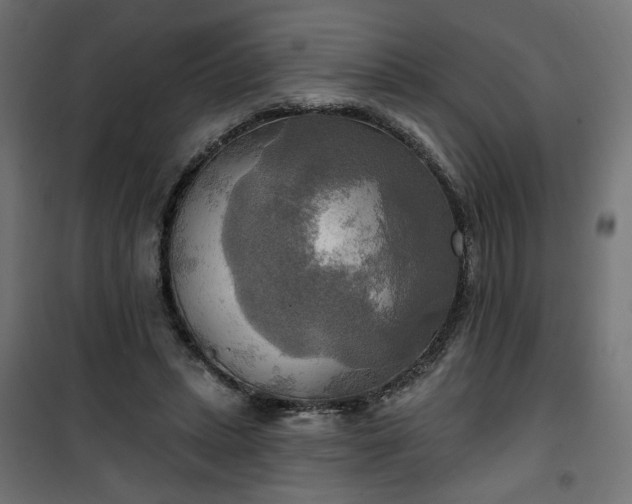 X0000100470447200806201610