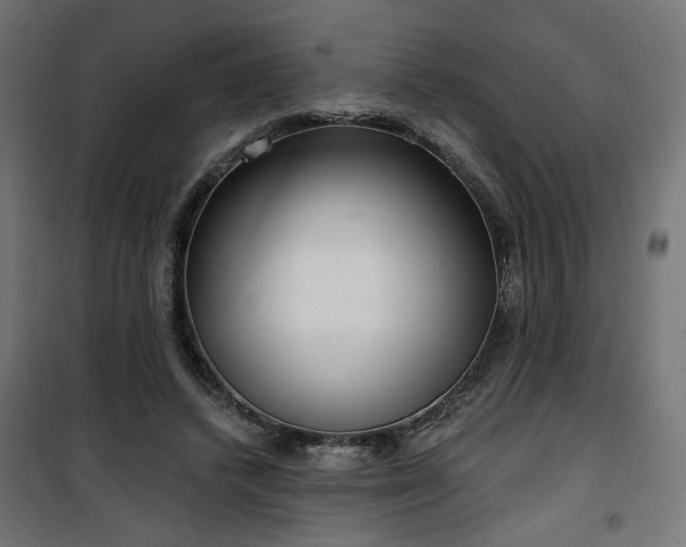 X0000100470448200806201610