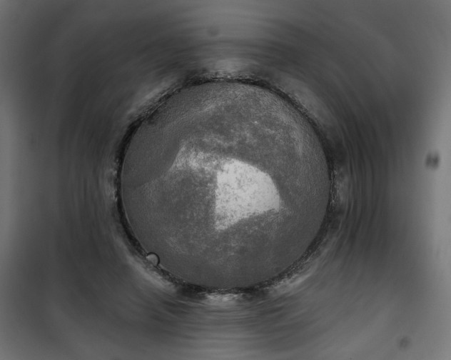 X0000100470450200806201610