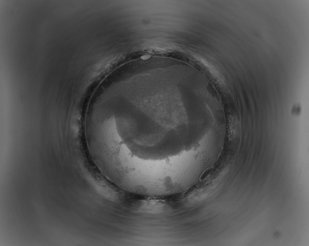 X0000100470451200806201610