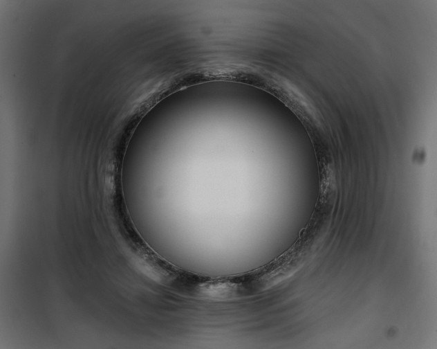 X0000100470452200806201610