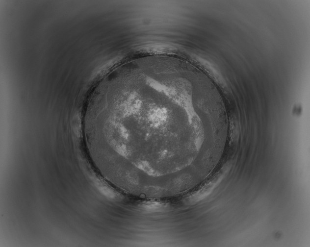 X0000100470453200806201610