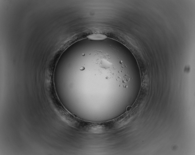 X0000100470456200806201610