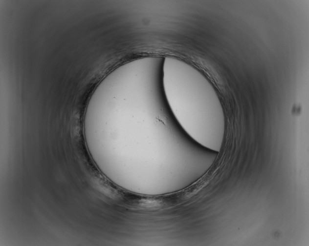 X0000100470457200806201610