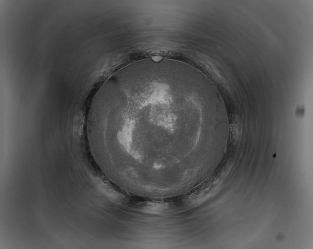 X0000100470458200806201610