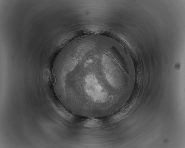 X0000100470459200806201610