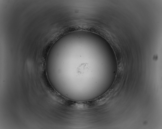 X0000100470464200806201610