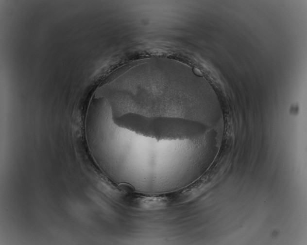 X0000100470465200806201610