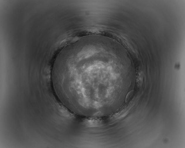 X0000100470466200806201610