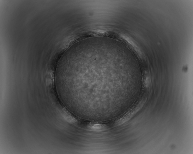 X0000100470467200806201610