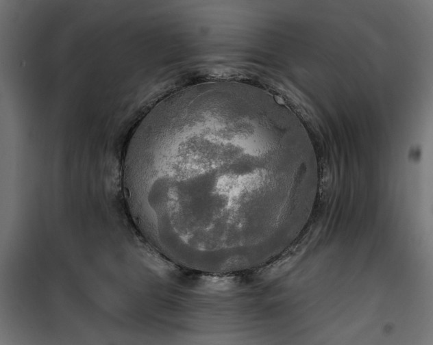 X0000100470469200806201610