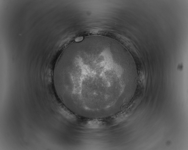 X0000100470470200806201610