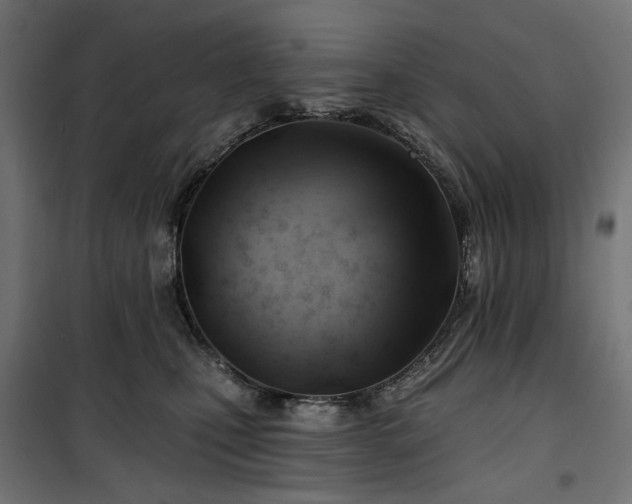 X0000100470471200806201610