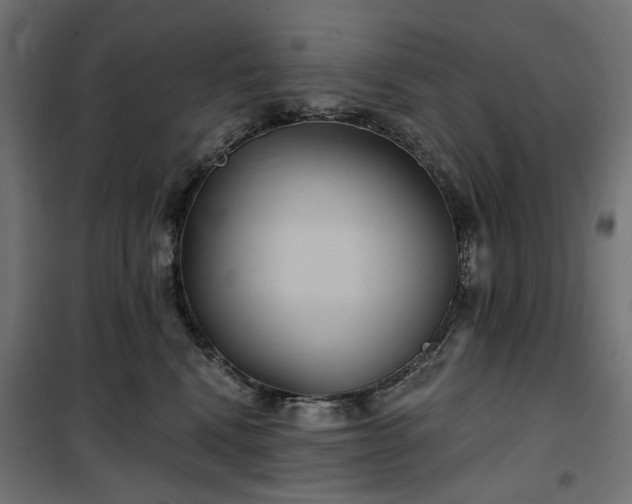 X0000100470472200806201610