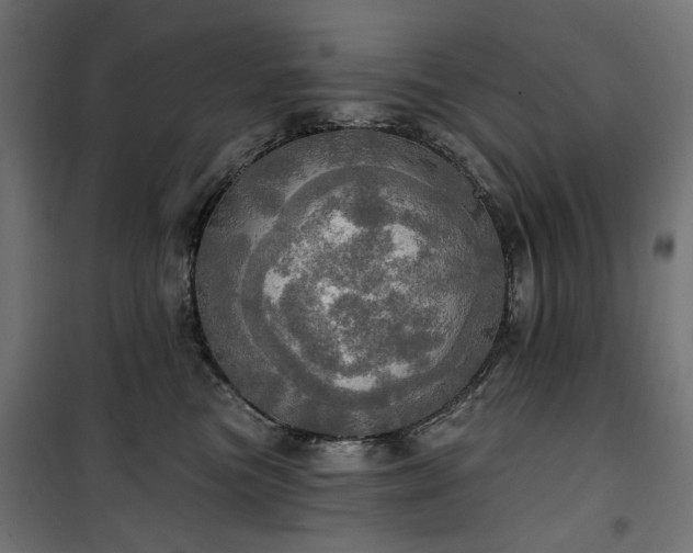 X0000100470473200806201610