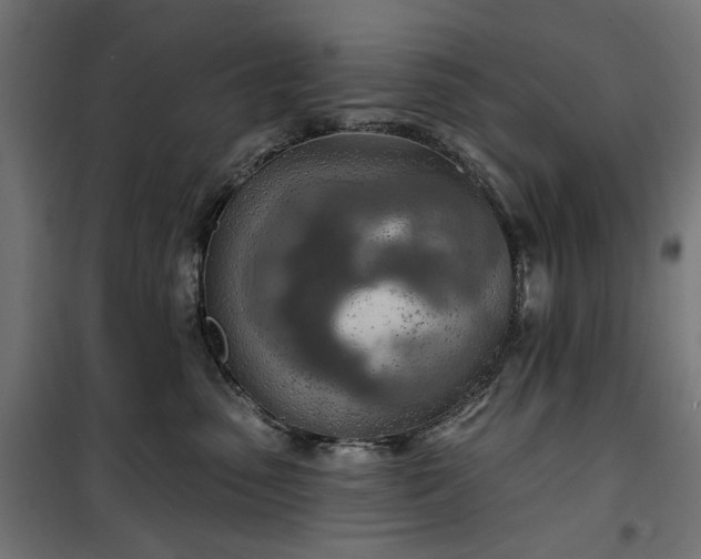 X0000100470475200806201610