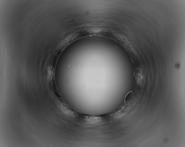 X0000100470476200806201610