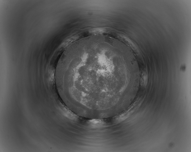 X0000100470477200806201610