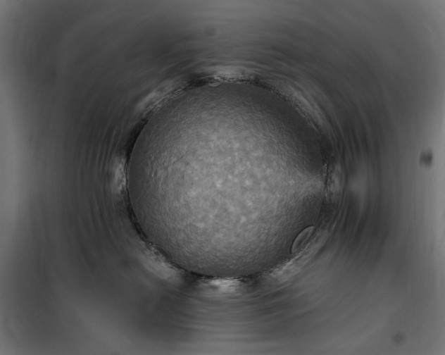 X0000100470478200806201610