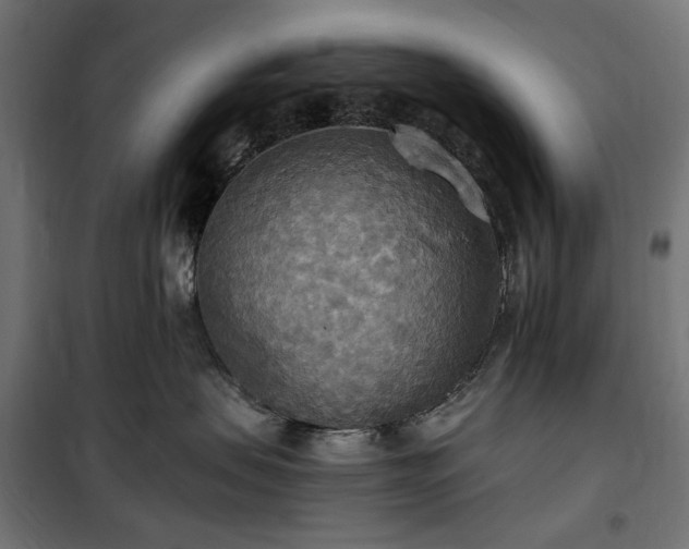 X0000100470479200806201610