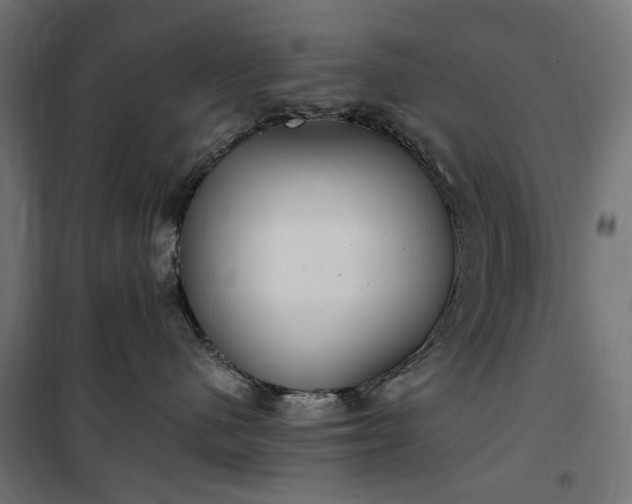 X0000100470480200806201610