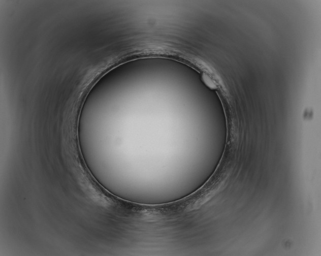 X0000100470481200806201610