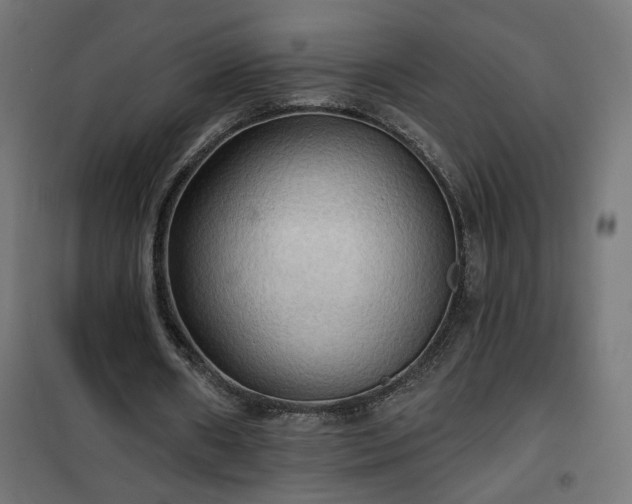 X0000100470482200806201610