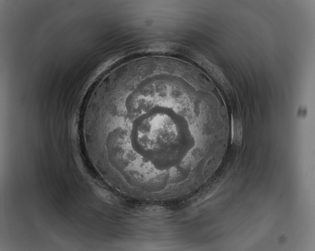 X0000100470483200806201610