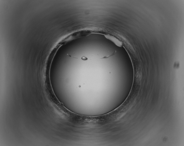 X0000100470484200806201610