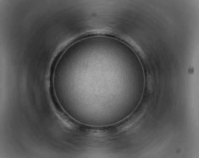 X0000100470486200806201610