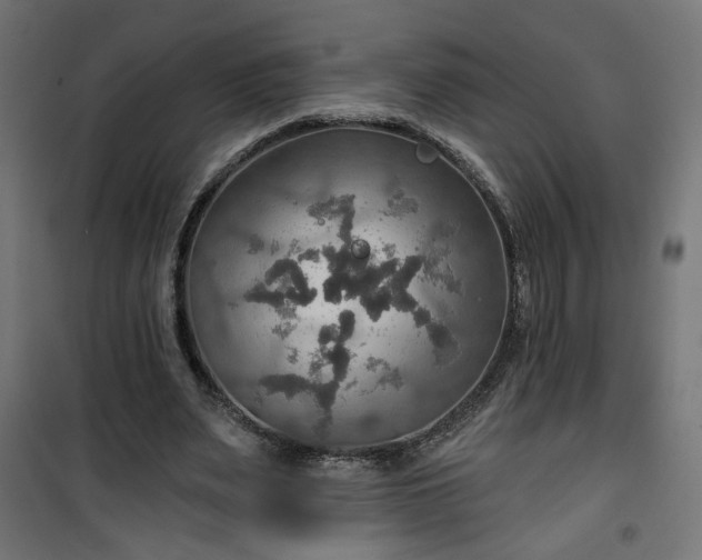 X0000100470487200806201610