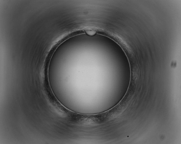 X0000100470488200806201610