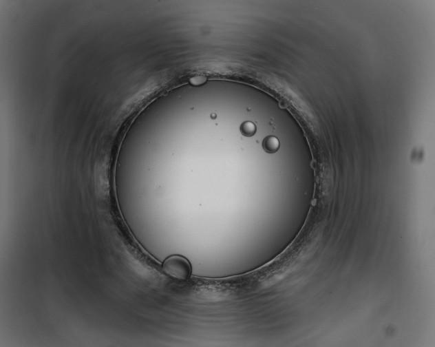 X0000100470489200806201610