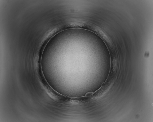 X0000100470490200806201610