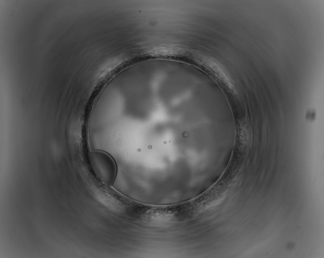 X0000100470491200806201610