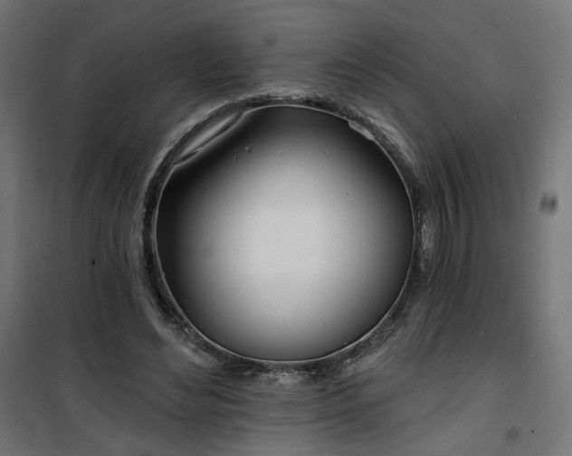 X0000100470492200806201610