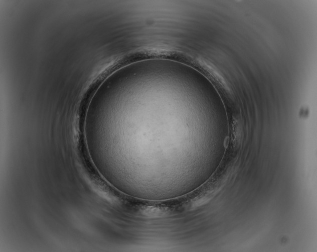 X0000100470494200806201610