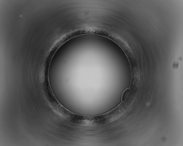 X0000100470496200806201610