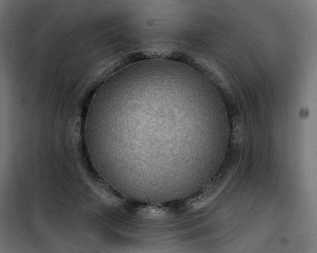 X0000100470498200806201610