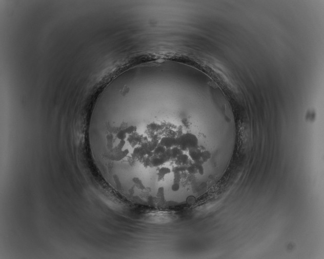 X0000100470499200806201609