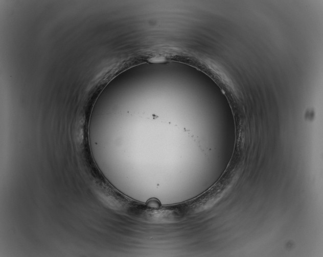 X0000100470501200806201609