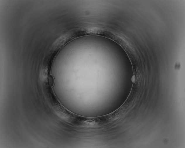 X0000100470502200806201609