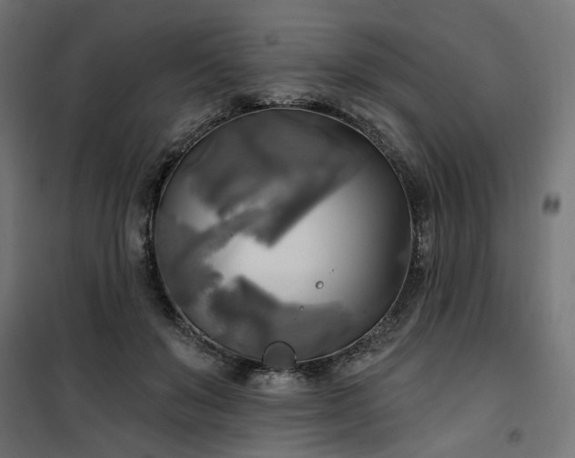 X0000100470503200806201609